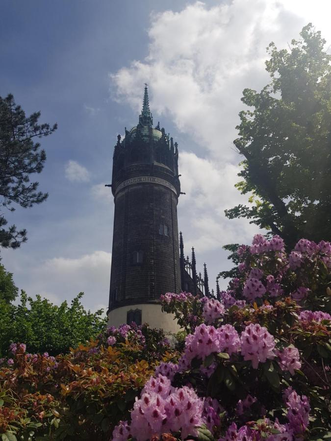 Mohnblume Am Stadtpark *